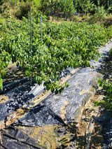 팜모닝 11월 농사 계획 공유하기·참여글 게시글 이미지