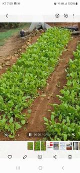 팜모닝 자유주제·자유게시판 게시글 이미지