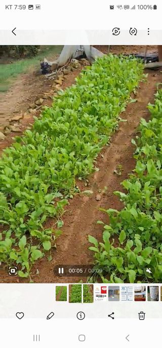 조순귀창원성산구사파님의 자유주제 · 자유게시판 작성글 사진