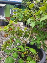 팜모닝 자유주제·자유게시판 게시글 이미지