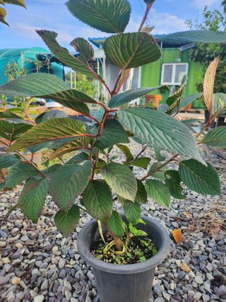 콩18175님의 자유주제 · 자유게시판 작성글 사진