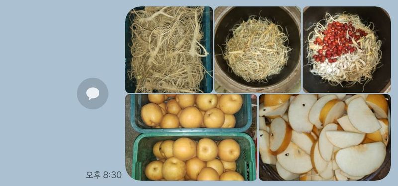 장터 상품 [약도라지 배즙 판매] 썸네일