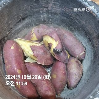 민들레님의 자유주제 · 자유게시판 작성글 사진