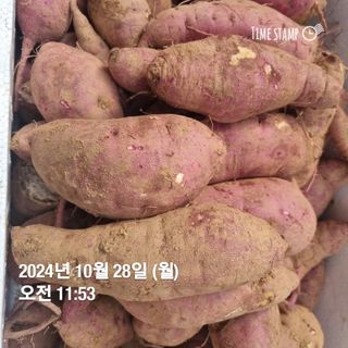 민들레님의 자유주제 · 자유게시판 작성글 사진