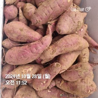 민들레님의 자유주제 · 자유게시판 작성글 사진