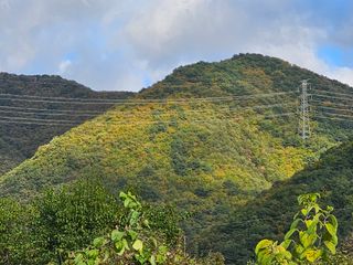 방재복님의 11월 농사 계획 공유하기 · 참여글 작성글 사진