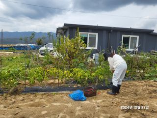 강정아님의 자유주제 · 자유게시판 작성글 사진