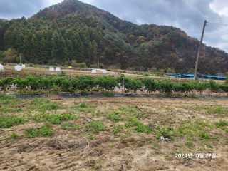 강정아님의 자유주제 · 자유게시판 작성글 사진