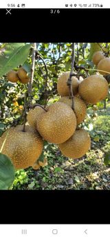 팜모닝 · 게시글 이미지