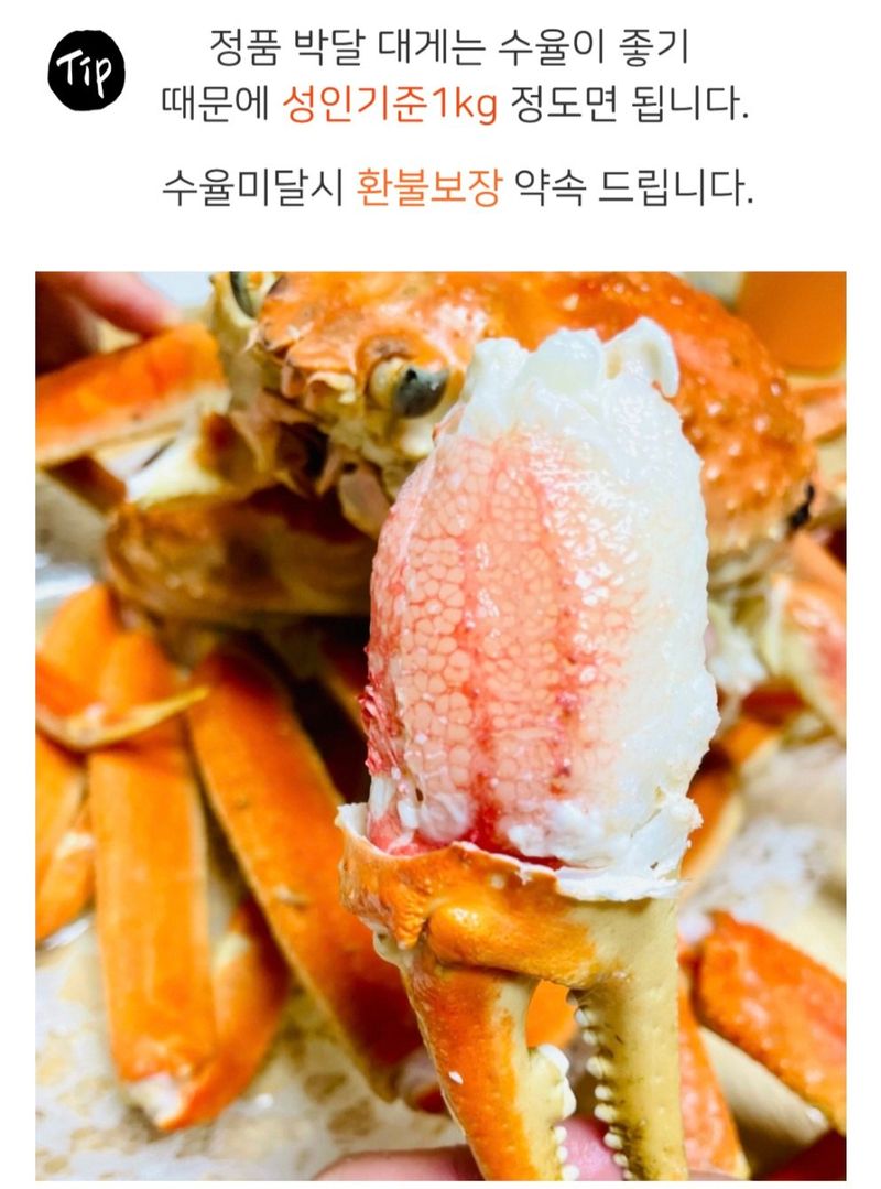 농수사님의 장터 판매 상품 [정품 프리미엄 박달대게 3kg] 첨부 사진