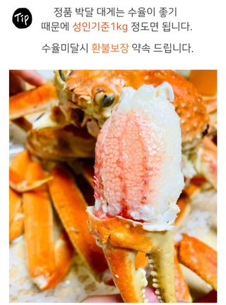 농수사님의 작성글 사진