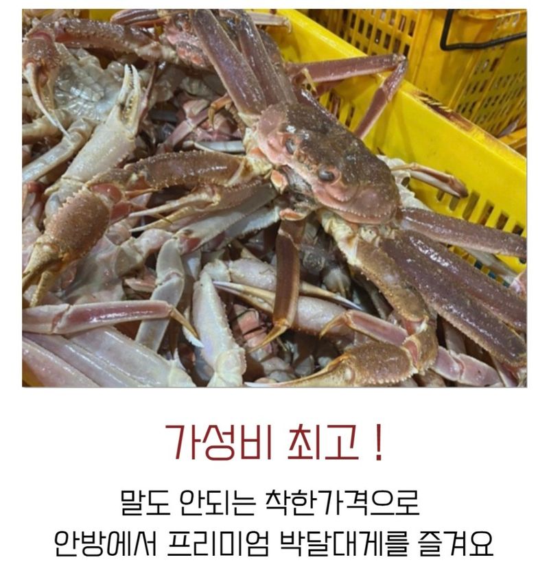 농수사님의 장터 판매 상품 [정품 프리미엄 박달대게 3kg] 첨부 사진