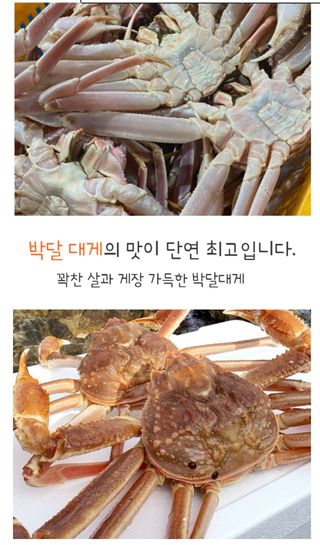 농수사님의 작성글 사진