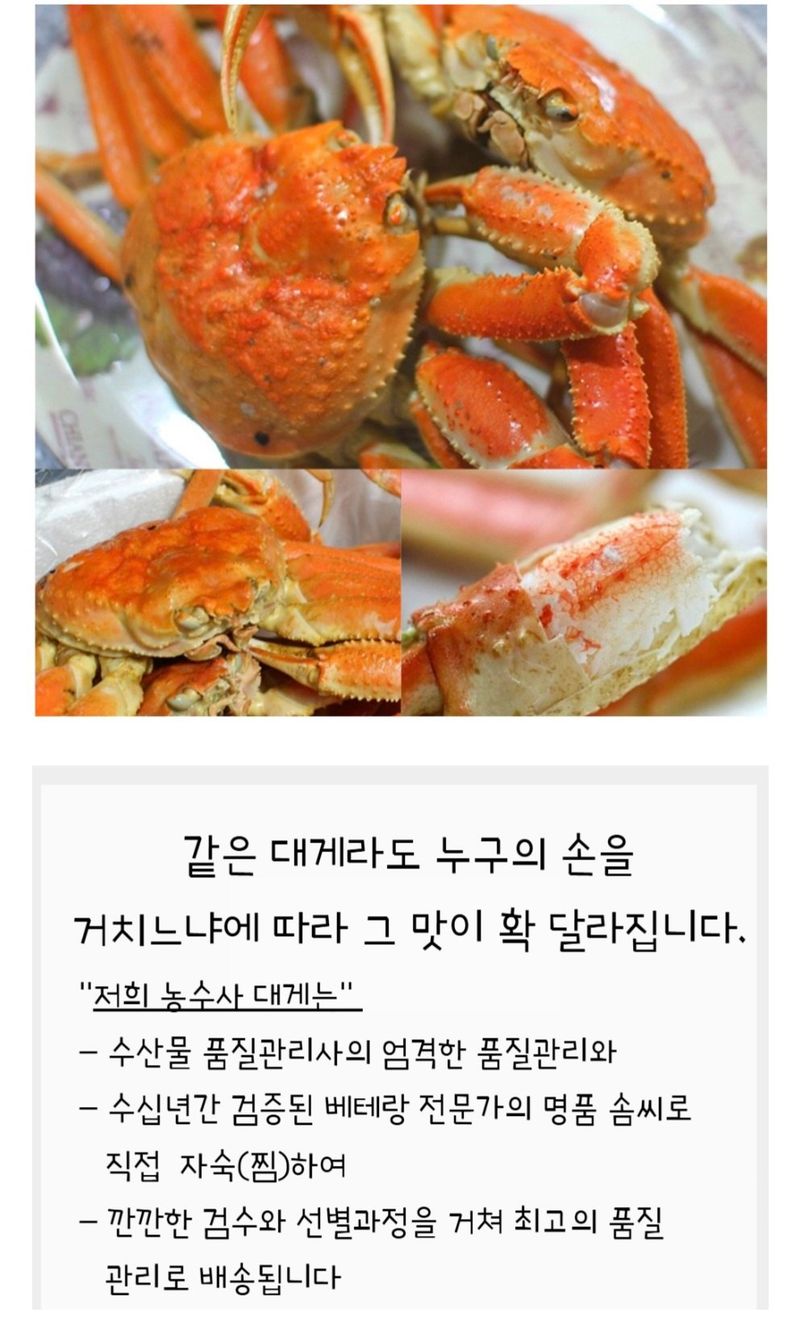 농수사님의 장터 판매 상품 [정품 프리미엄 박달대게 3kg] 첨부 사진