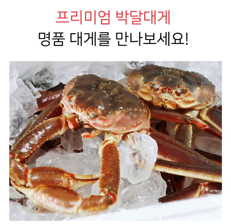 농수사님의 장터 판매 상품 [정품 프리미엄 박달대게 3kg] 첨부 사진