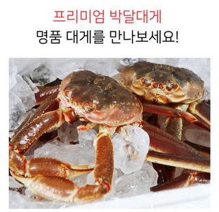 농수사님의 작성글 사진