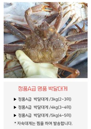 농수사님의 작성글 사진