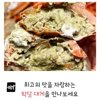 농수사님의 작성글 사진