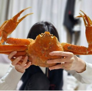 농수사님의 작성글 사진