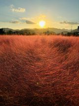 팜모닝 자유주제·자유게시판 게시글 이미지