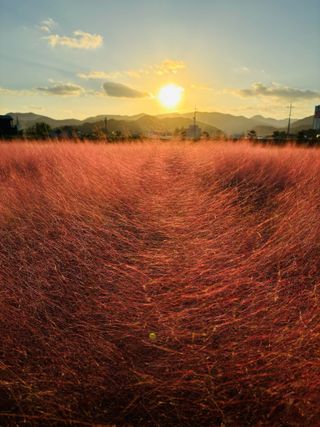 한나연님의 자유주제 · 자유게시판 작성글 사진