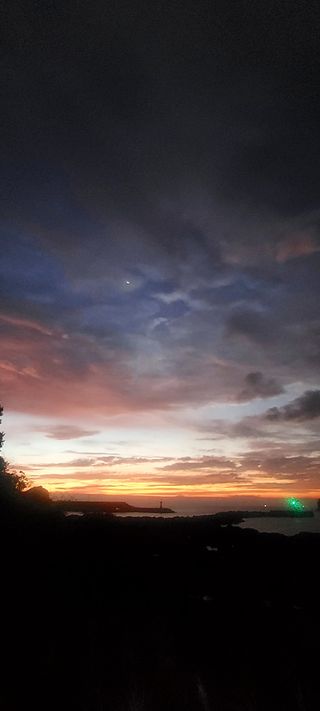 안재성님의 자유주제 · 사진전 작성글 사진