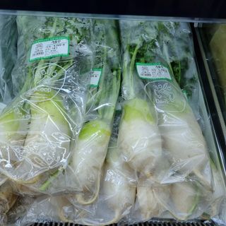 훈&팜님의 배추 · 영농일지 작성글 사진