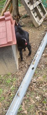 팜모닝 자유주제·자유게시판 게시글 이미지