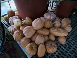 안동준 님의 작성글 사진