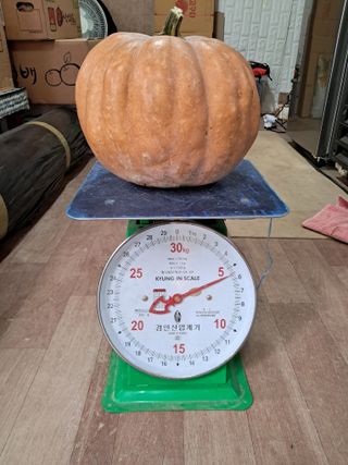 안동준 님의 작성글 사진