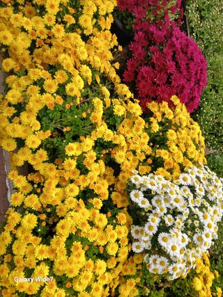 바위돌 심재성님의 자유주제 · 사진전 작성글 사진