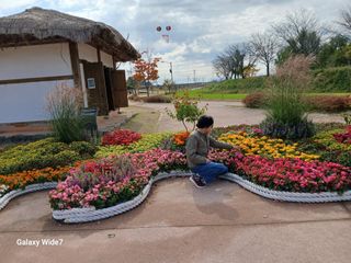 바위돌 심재성님의 자유주제 · 사진전 작성글 사진