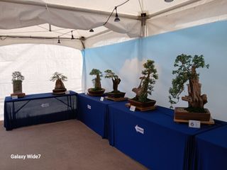 바위돌 심재성님의 자유주제 · 사진전 작성글 사진