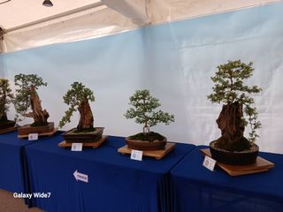 바위돌 심재성님의 자유주제 · 사진전 작성글 사진