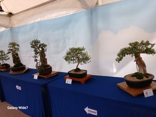 바위돌 심재성님의 자유주제 · 사진전 작성글 사진