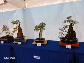 바위돌 심재성님의 자유주제 · 사진전 작성글 사진