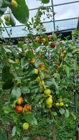 팜모닝 기타작물·영농일지 게시글 이미지