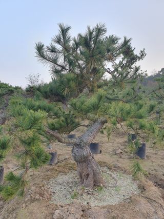 알 수 없음님의 자유주제 · 자유게시판 작성글 사진