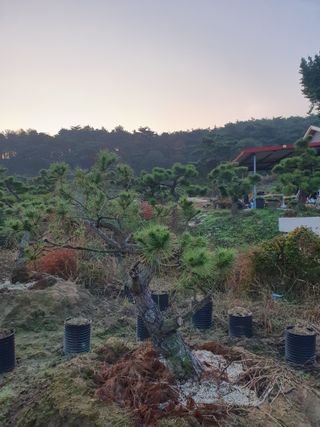 알 수 없음님의 자유주제 · 자유게시판 작성글 사진
