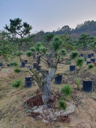 알 수 없음님의 자유주제 · 자유게시판 작성글 사진