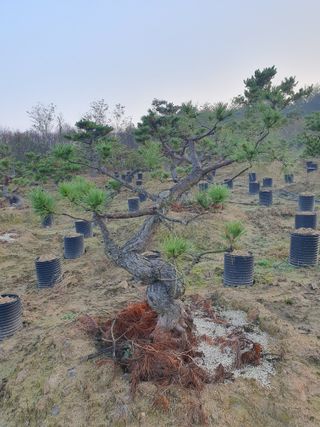 알 수 없음님의 자유주제 · 자유게시판 작성글 사진