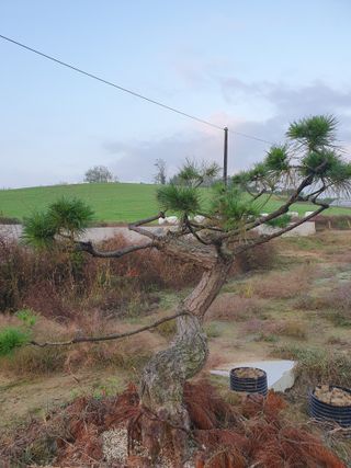 알 수 없음님의 자유주제 · 자유게시판 작성글 사진