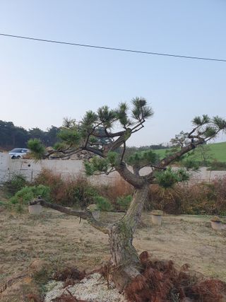 알 수 없음님의 자유주제 · 자유게시판 작성글 사진
