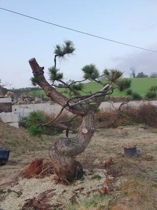 알 수 없음님의 자유주제 · 자유게시판 작성글 사진