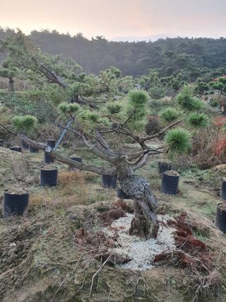 알 수 없음님의 자유주제 · 자유게시판 작성글 사진