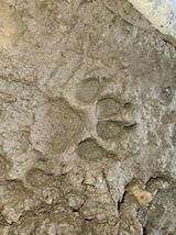 팜모닝 자유주제·자유게시판 게시글 이미지