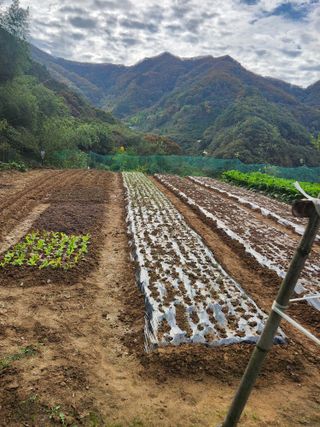 이윤마을 농민님의 자유주제 · 자유게시판 작성글 사진