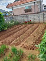 팜모닝 자유주제·자유게시판 게시글 이미지