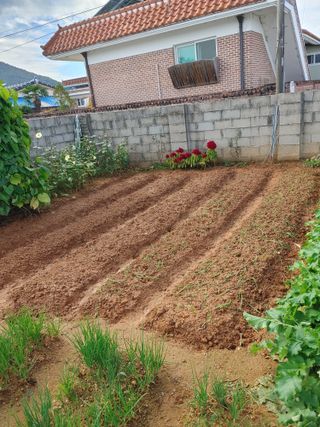 강경옥님의 자유주제 · 자유게시판 작성글 사진
