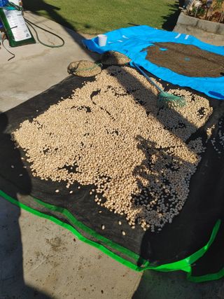 강경옥님의 자유주제 · 자유게시판 작성글 사진